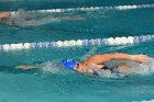 Swimming Diving vs Bentley